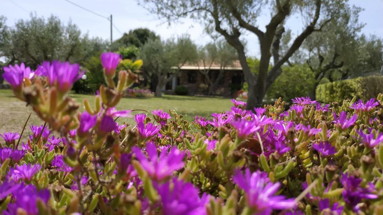 Feggaropetra By The Sea Villa Ormos Panagias Dış mekan fotoğraf