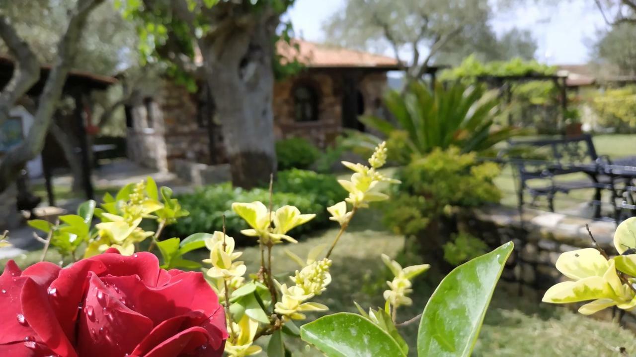 Feggaropetra By The Sea Villa Ormos Panagias Dış mekan fotoğraf